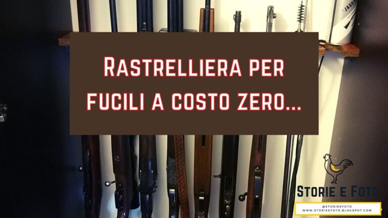 Fuciliera Blindata Usata: Vantaggi e Opportunit&agrave; di Acquisto