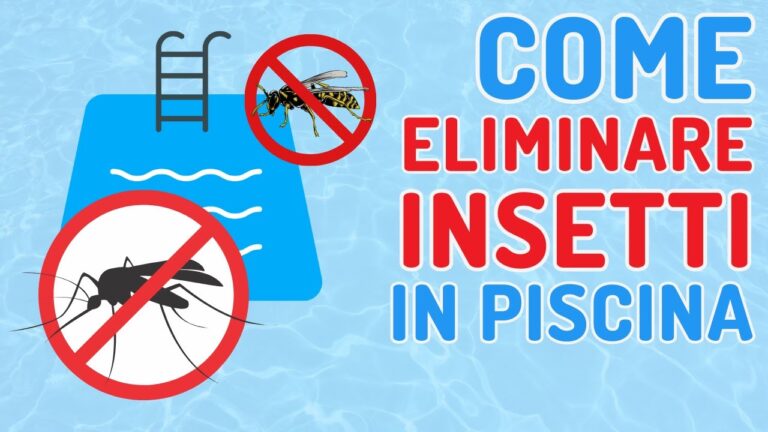 Notonecta: Gli Insetti Nuotatori della Piscina