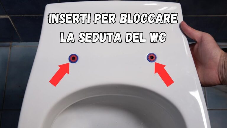 Guida alla Scelta delle Tavole WC Ideali