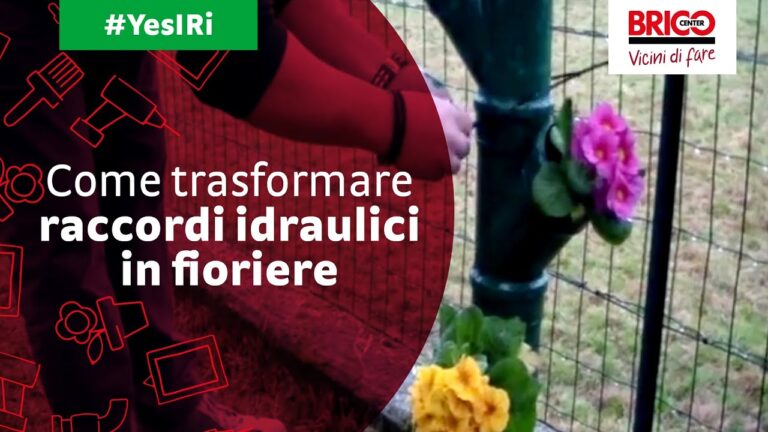 Fioriere da Esterno: Guida all’Acquisto e al Design da Brico