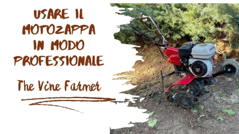 Motozappa Piccola Professionale: Guida all’Efficienza nel Giardinaggio