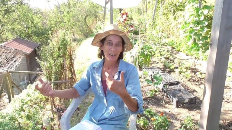 Arredo Giardino con Canne di Bamb&ugrave;: Idee e Vantaggi