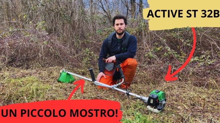 Guida al Miglior Decespugliatore a Scoppio Economico