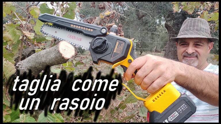 Motoseghe per Potatura: Scopri le Offerte Imperdibili