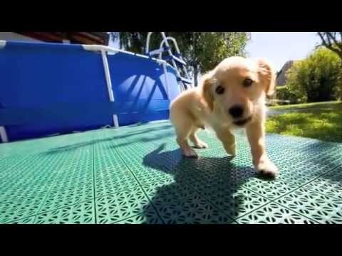 Guida alla Scelta delle Piastrelle per Piscina Esterna