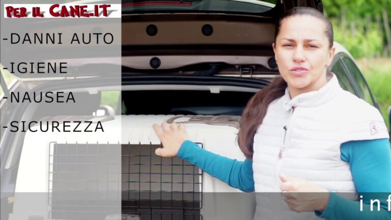 Guida alla Scelta del Trasportino per Cani di Taglia Media in Auto