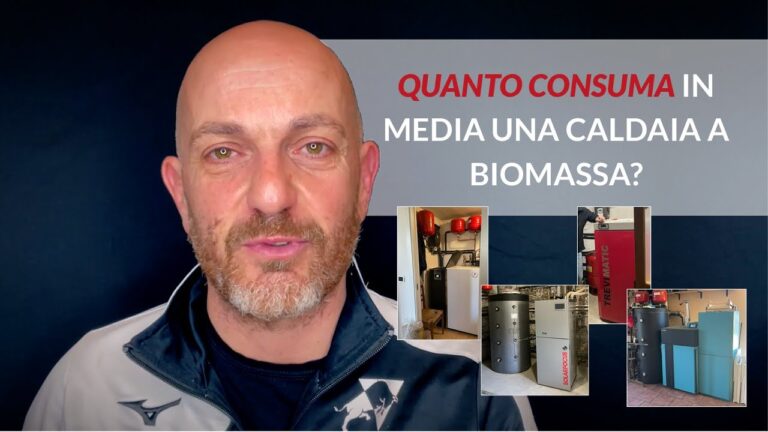 Caldaia a Biomassa Ideale per 200 mq: Efficienza e Sostenibilità