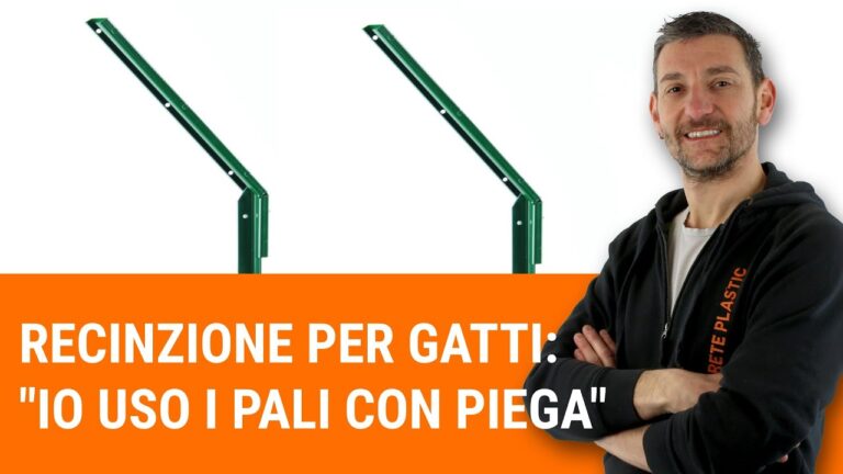 Guida alla Creazione di un Recinto per Gatti da Interno