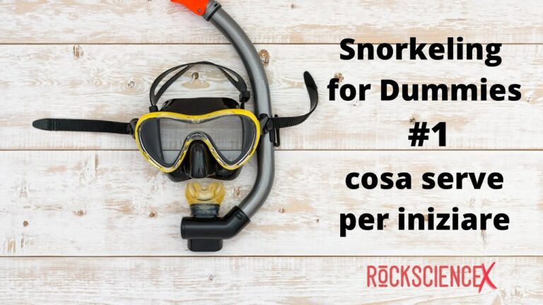 Usano Pinne e Maschera: Guida Essenziale per il Tuffo Perfetto