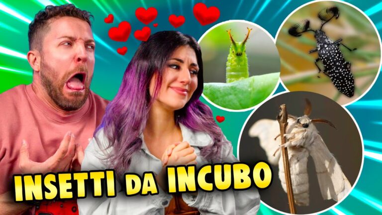 Insetti con la S: Scopri le Specie più Curiose