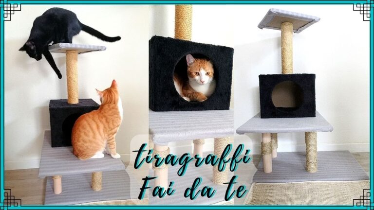 Tiragraffi Alti: Il Rifugio Ideale per Gatti