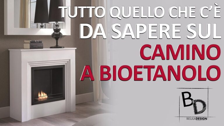 Bioetanolo: Opinioni e Prospettive sul Futuro del Combustibile Sostenibile