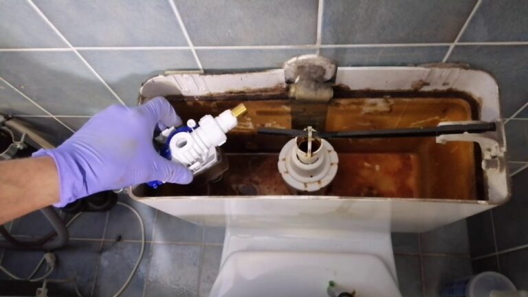 Guida alle Vaschette d’Acqua Esterne: Funzionalit&agrave; e Vantaggi